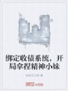 绑定收债系统,开局拿捏精神小妹