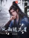 风雨随流星